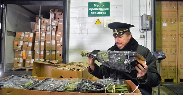 img1045 СПОТ на низком старте