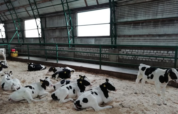 Фото Любови Светлановой