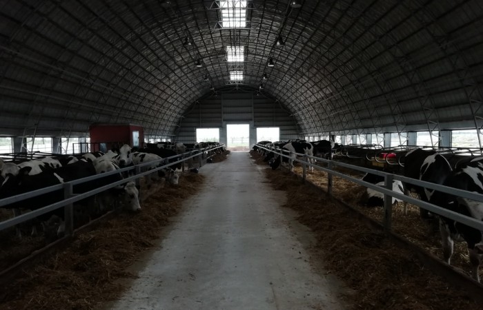 Фото Любови Светлановой